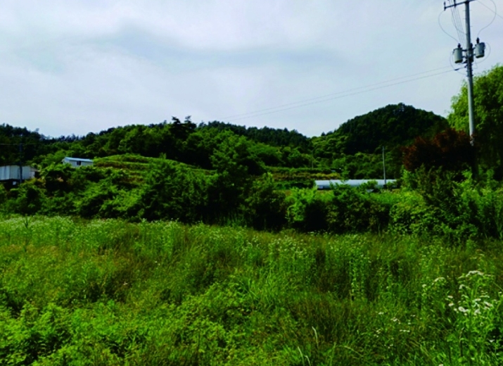 충청남도 부여군 규암면 오수리 산13-14 외 9필지 임야 경매 사진 1
