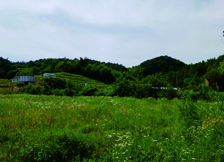 충청남도 부여군 규암면 오수리 산13-14 외 9필지 임야 경매 사진 2