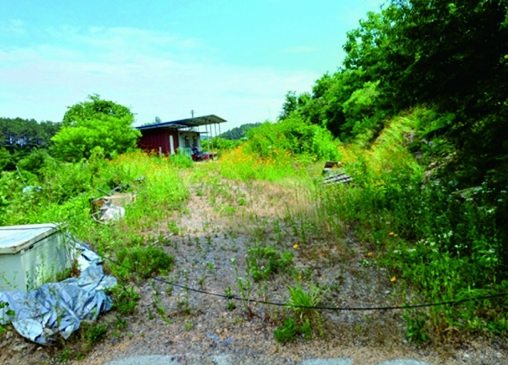 충청남도 부여군 규암면 오수리 산13-14 외 9필지 임야 경매 사진 15