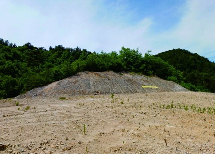 충청남도 부여군 규암면 오수리 산13-14 외 9필지 임야 경매 사진 3