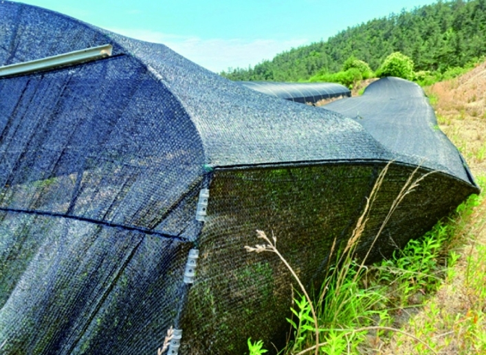 충청남도 부여군 규암면 오수리 산13-14 외 9필지 임야 경매 사진 26