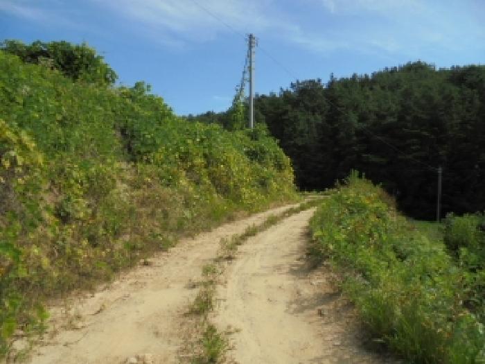 충청남도 부여군 규암면 오수리 산13-14 외 9필지 임야 경매 사진 41