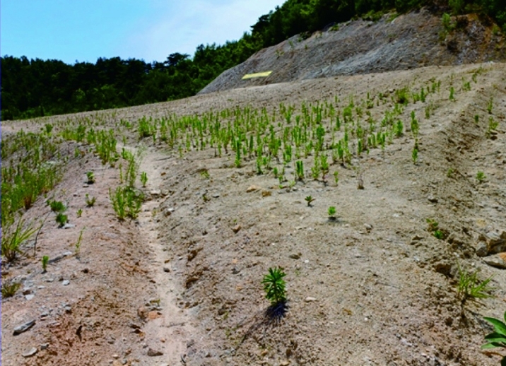 충청남도 부여군 규암면 오수리 산13-14 외 9필지 임야 경매 사진 7