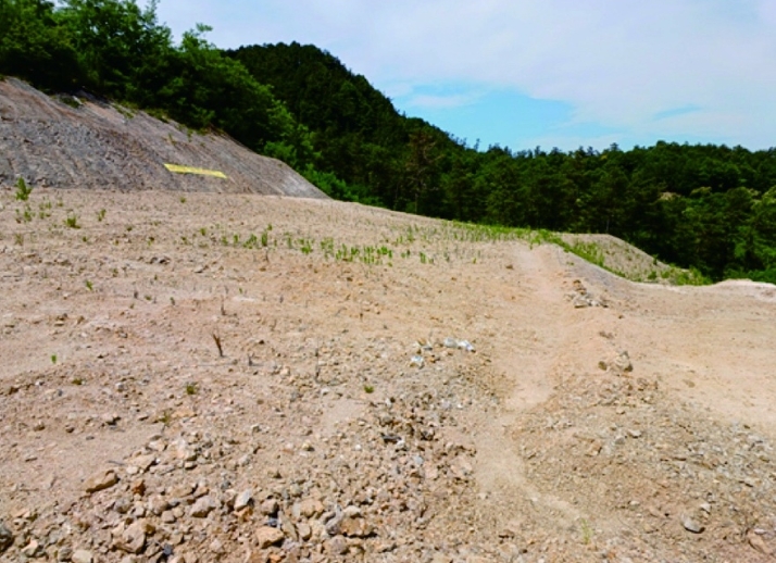 충청남도 부여군 규암면 오수리 산13-14 외 9필지 임야 경매 사진 8