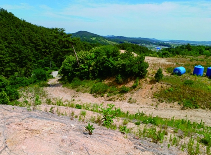 충청남도 부여군 규암면 오수리 산13-14 외 9필지 임야 경매 사진 10