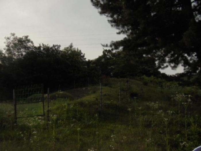 충청남도 부여군 충화면 지석리 산65 임야 경매 사진 3