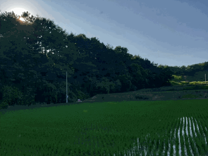 충청남도 부여군 충화면 지석리 산65 임야 경매 사진 5