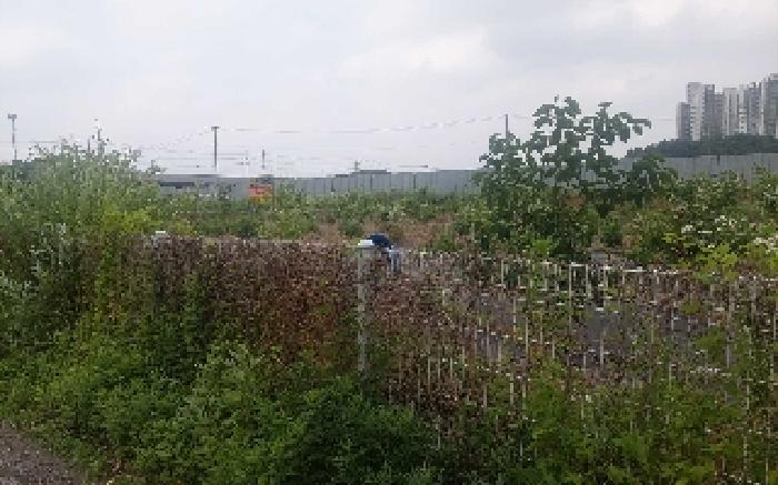 충청남도 천안시 서북구 직산읍 삼은리 89-11 외 1필지 답 경매 사진 11