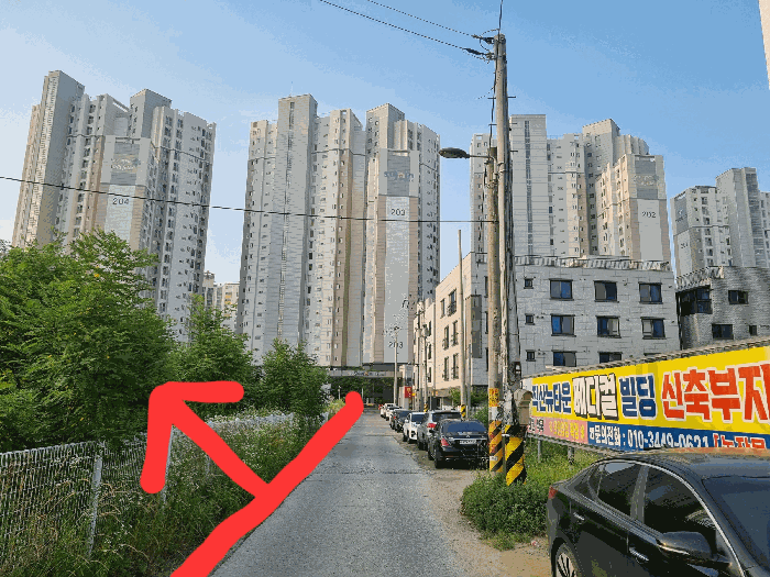 충청남도 천안시 서북구 직산읍 삼은리 89-11 외 1필지 답 경매 사진 15