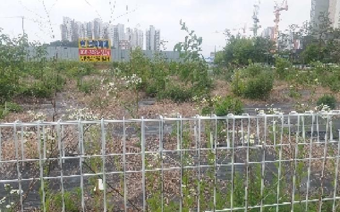 충청남도 천안시 서북구 직산읍 삼은리 89-11 외 1필지 답 경매 사진 4