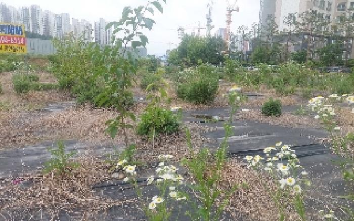 충청남도 천안시 서북구 직산읍 삼은리 89-11 외 1필지 답 경매 사진 5