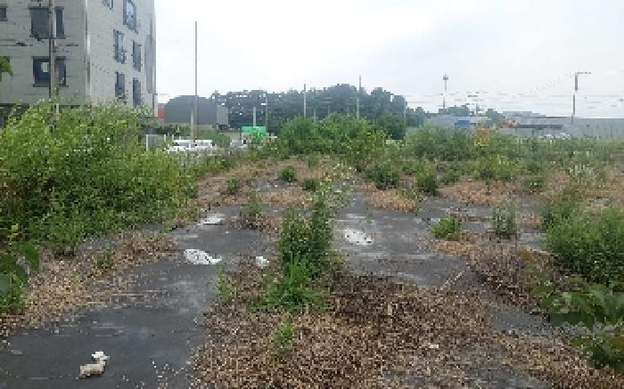 충청남도 천안시 서북구 직산읍 삼은리 89-11 외 1필지 답 경매 사진 9