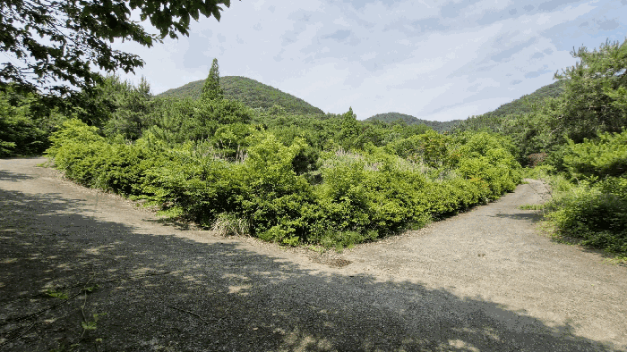 경상북도 경주시 내남면 화곡리 316-1 외 3필지 답 경매 사진 13