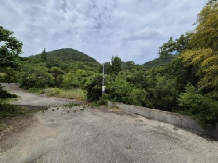 경상북도 경주시 내남면 화곡리 316-1 외 3필지 답 경매 사진 3