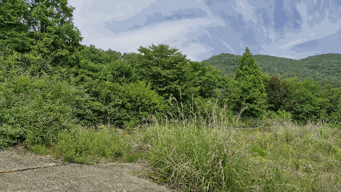 경상북도 경주시 내남면 화곡리 316-1 외 3필지 답 경매 사진 22