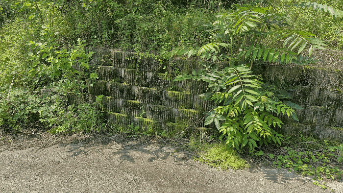 경상북도 경주시 내남면 화곡리 316-1 외 3필지 답 경매 사진 7
