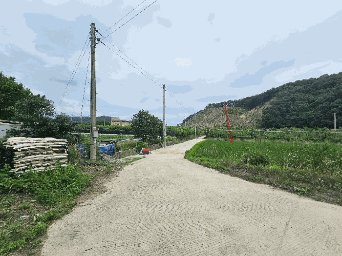 경상북도 김천시 남면 초곡리 569 답 경매 사진 10