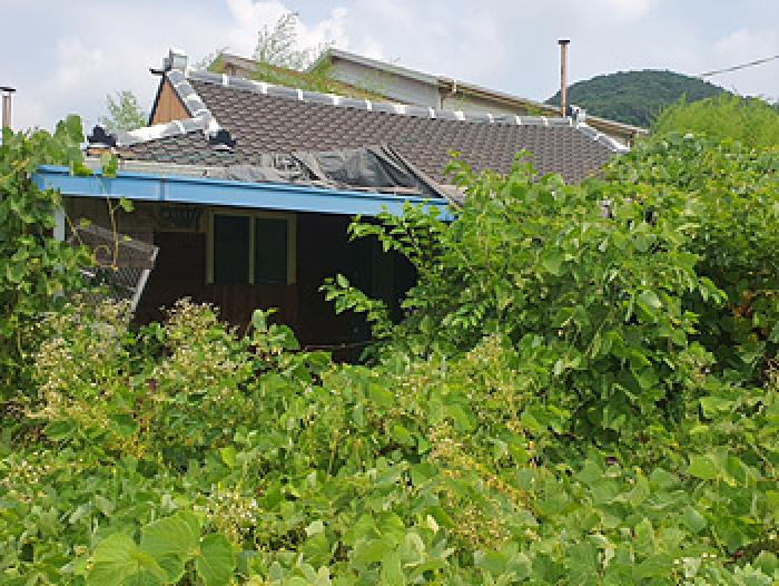경상남도 김해시 진영읍 내룡리 189 대지 경매 사진 46