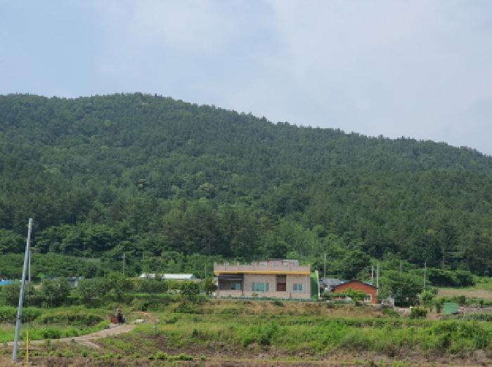 전라남도 강진군 마량면 원포리 산67 외 1필지 임야 경매 사진 2