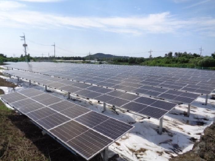 제주특별자치도 제주시 한림읍 금악리 3124 외 1필지 전 경매 사진 5