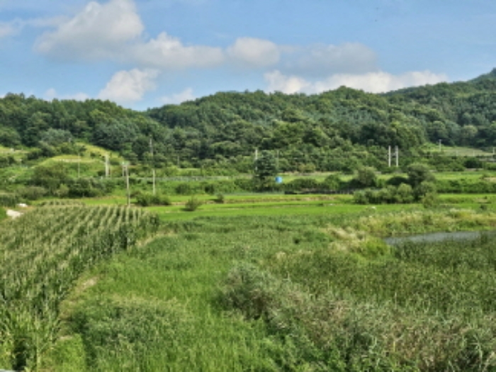 충청북도 음성군 원남면 보천리 492 답 경매 사진 1