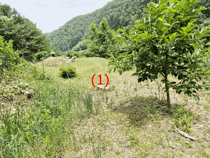 경기도 가평군 가평읍 이화리 130 외 1필지 전 경매 사진 11