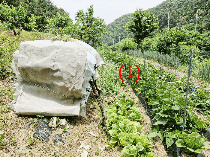 경기도 가평군 가평읍 이화리 130 외 1필지 전 경매 사진 7