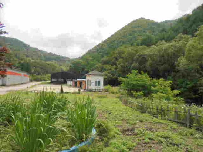 충청북도 괴산군 문광면 광덕리 595-2 외 9필지 동물및식물관련시설 경매 사진 11