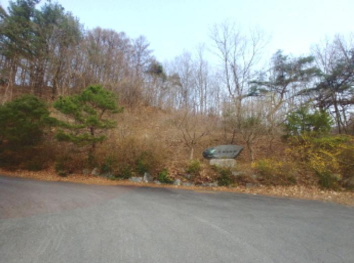 충청남도 금산군 제원면 용화리 124-10 외 3필지 임야 경매 사진 1