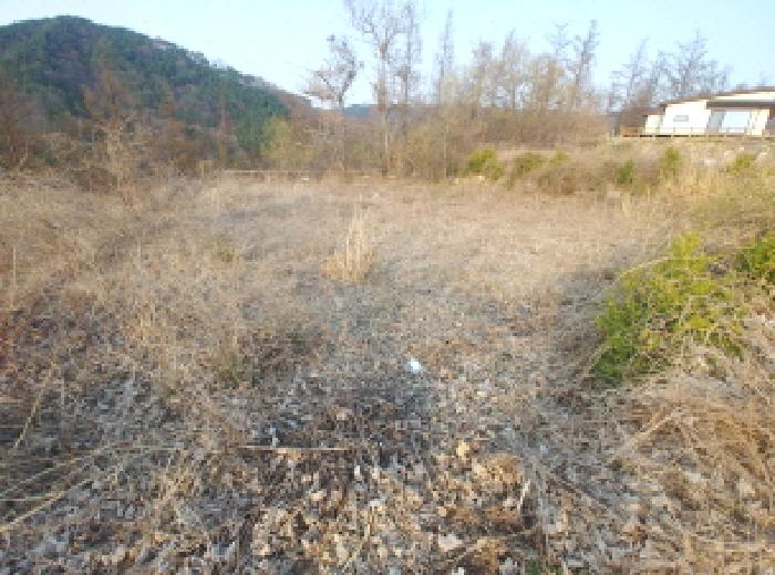 충청남도 금산군 제원면 용화리 124-10 외 3필지 임야 경매 사진 11