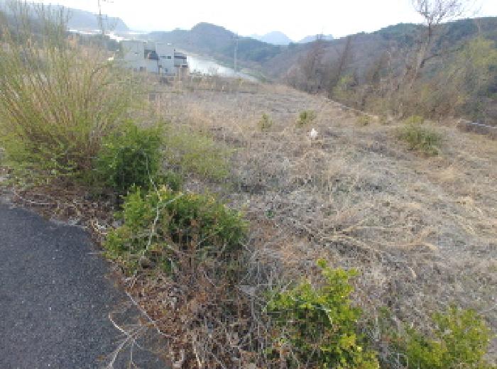 충청남도 금산군 제원면 용화리 124-10 외 3필지 임야 경매 사진 15