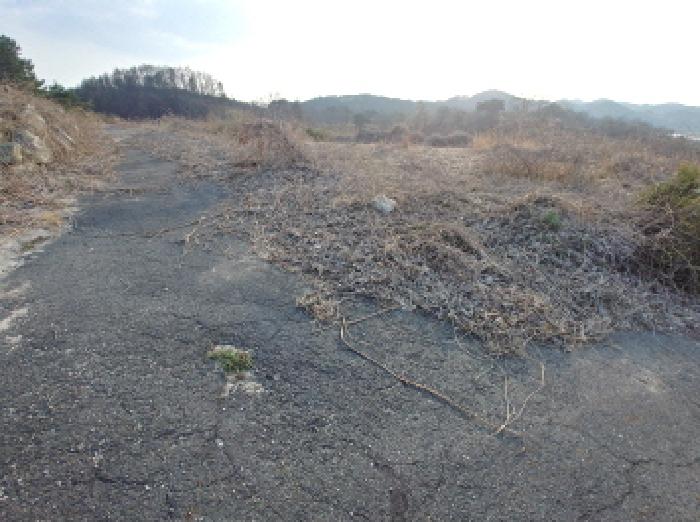 충청남도 금산군 제원면 용화리 124-10 외 3필지 임야 경매 사진 17