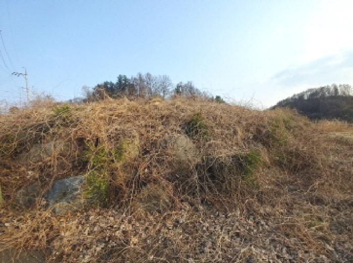 충청남도 금산군 제원면 용화리 124-10 외 3필지 임야 경매 사진 20
