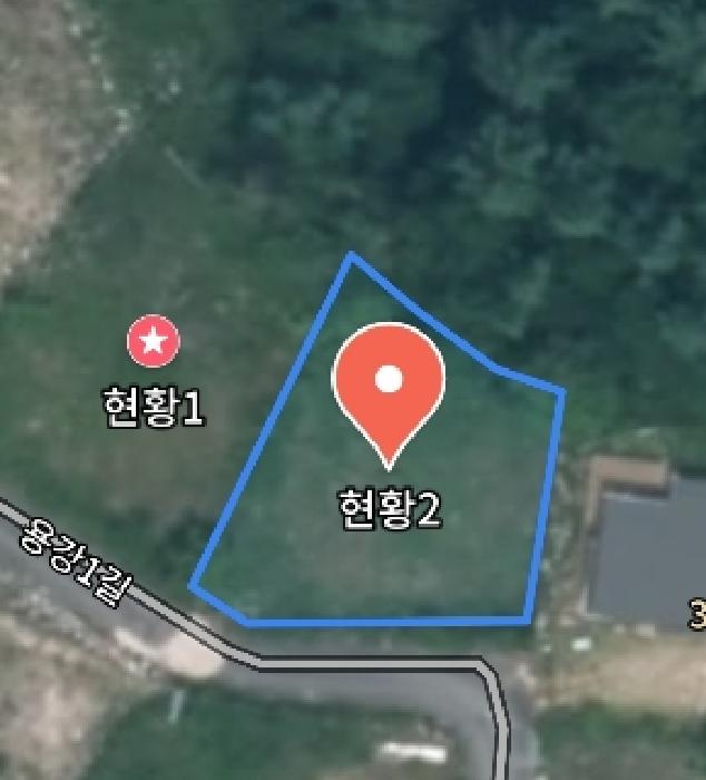 충청남도 금산군 제원면 용화리 124-10 외 3필지 임야 경매 사진 23