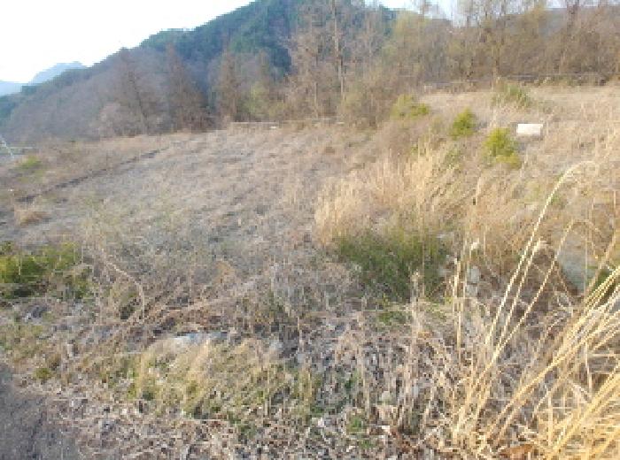 충청남도 금산군 제원면 용화리 124-10 외 3필지 임야 경매 사진 28