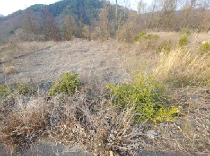 충청남도 금산군 제원면 용화리 124-10 외 3필지 임야 경매 사진 29