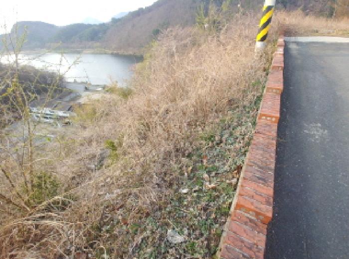 충청남도 금산군 제원면 용화리 124-10 외 3필지 임야 경매 사진 32