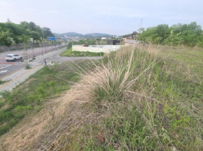 세종특별자치시 연동면 내판리 337-26 외 7필지 임야 경매 사진 10