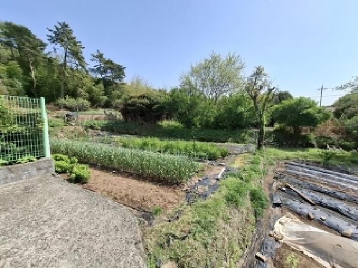 경상남도 사천시 용현면 석계리 378-1 대지 경매 사진 4