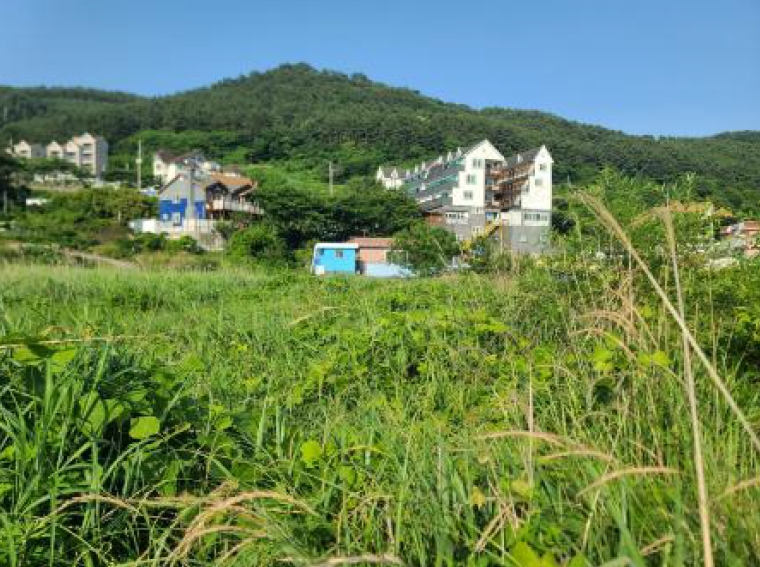 경상남도 거제시 일운면 와현리 411-2 답 경매 사진 8