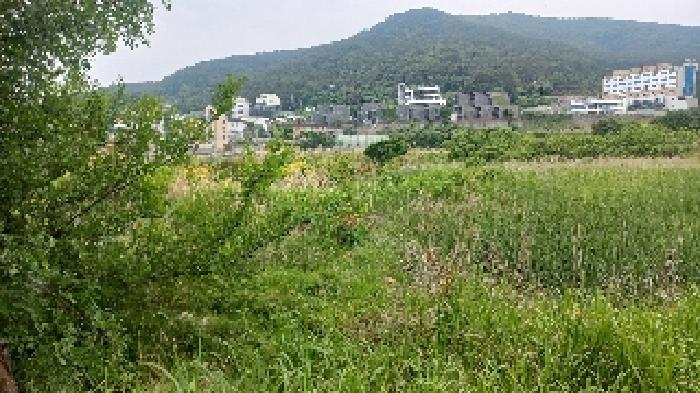 경상남도 거제시 일운면 와현리 411-2 답 경매 사진 11