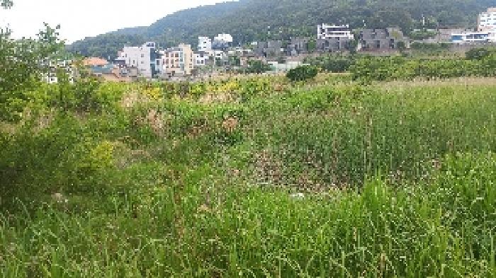 경상남도 거제시 일운면 와현리 411-2 답 경매 사진 12