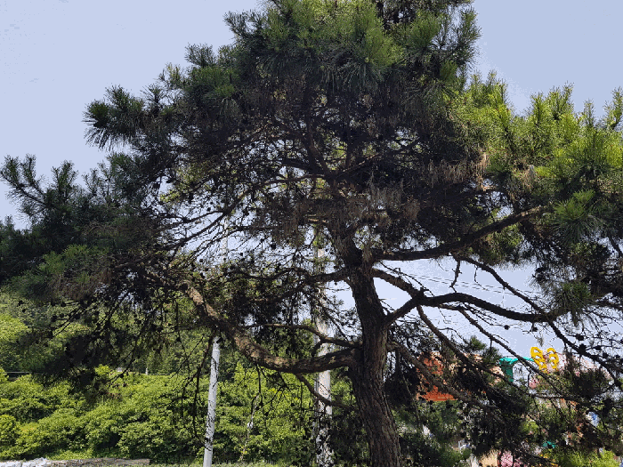전라남도 무안군 삼향읍 남악리 163-3 외 3필지 노유자시설 경매 사진 18