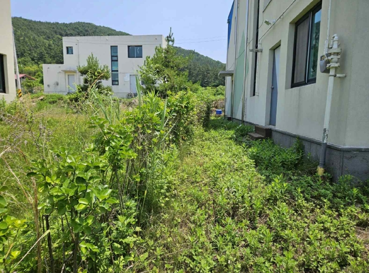 전북특별자치도 완주군 소양면 신교리 265-10 외 1필지 단독주택 경매 사진 3