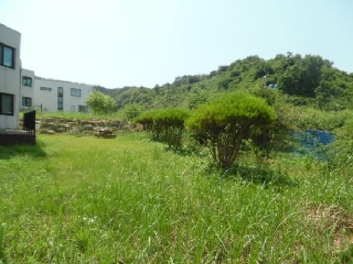 전북특별자치도 완주군 소양면 신교리 265-10 외 1필지 단독주택 경매 사진 28