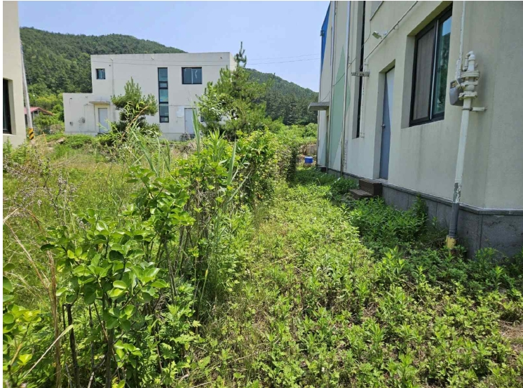 전북특별자치도 완주군 소양면 신교리 265-10 외 1필지 단독주택 경매 사진 8