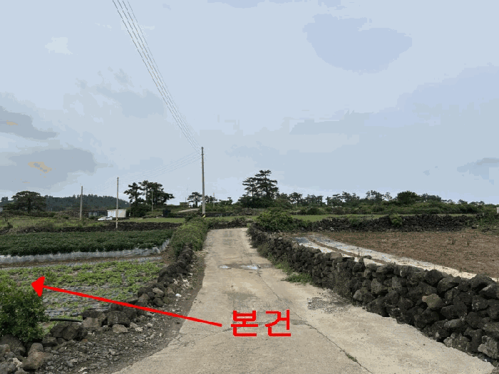 제주특별자치도 제주시 한림읍 월령리 754-2 전 경매 사진 21