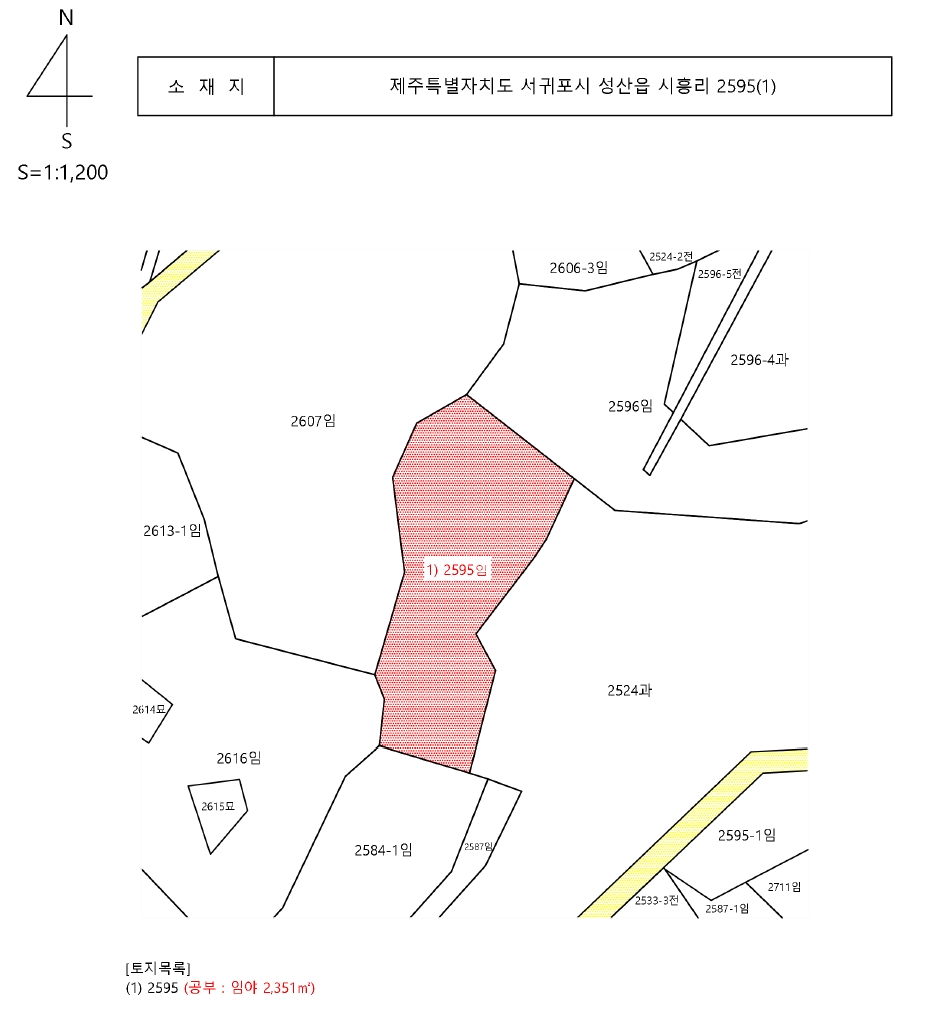 제주특별자치도 서귀포시 성산읍 시흥리 2595 임야 경매 사진 22
