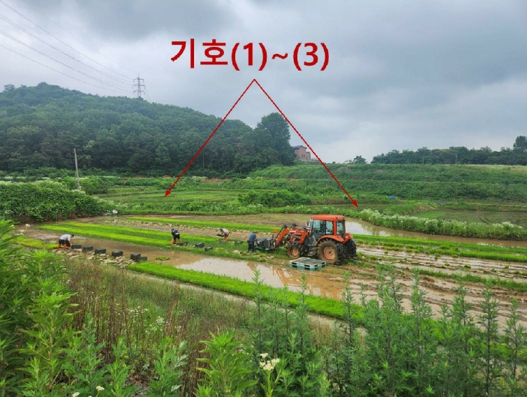 경기도 평택시 오성면 양교리 815 외 2필지 전 경매 사진 1