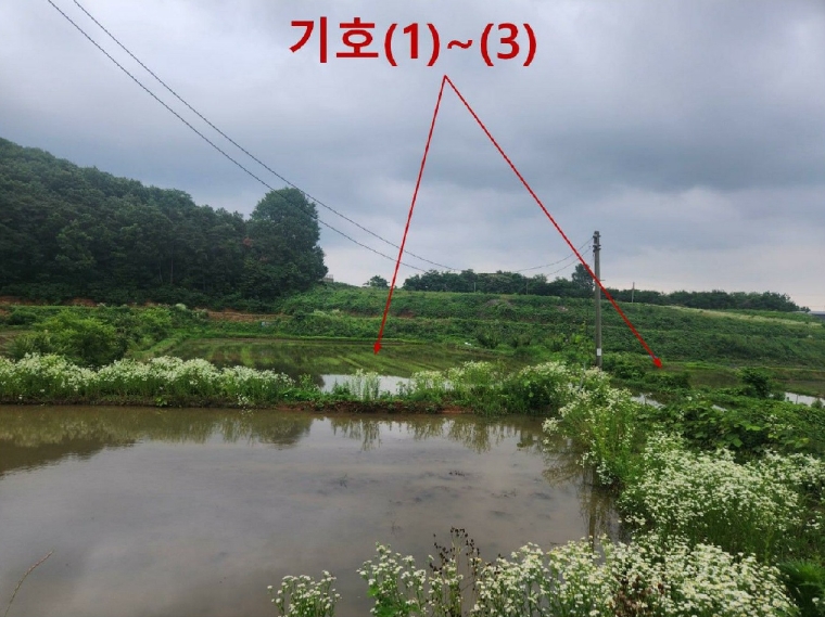 경기도 평택시 오성면 양교리 815 외 2필지 전 경매 사진 2